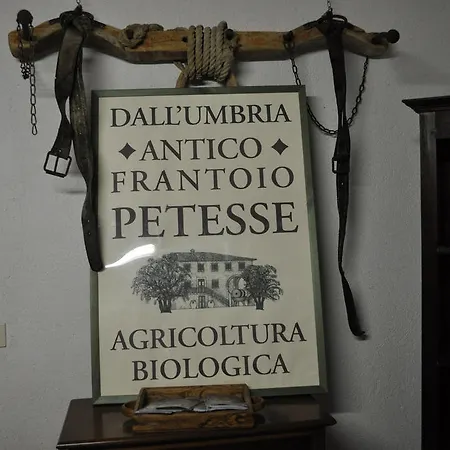 Antico Frantoio