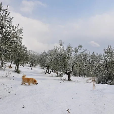 Alloggio per agriturismo Antico Frantoio Foligno