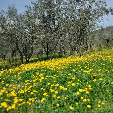 Alloggio per agriturismo Antico Frantoio *